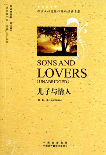 儿子与情人