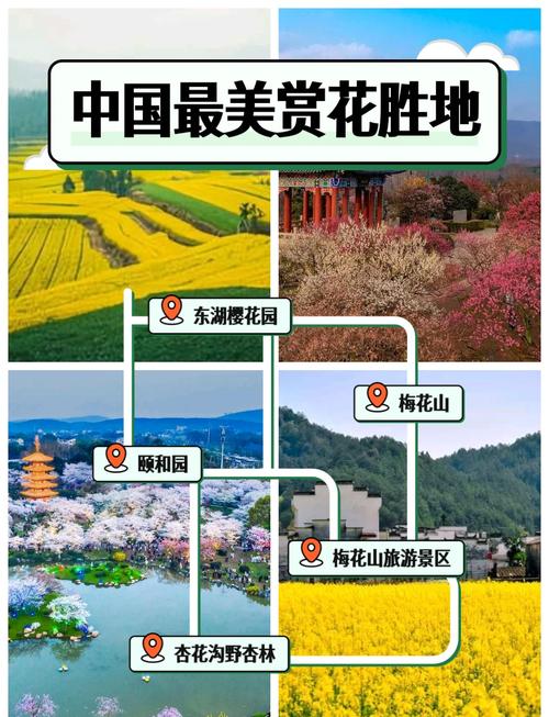 2025春暖花开网址推荐:国内十大绝美赏花胜地与摄影技巧全攻略 2025春暖花开网址推荐:国内十大绝美赏花胜地与摄影技巧全攻略
