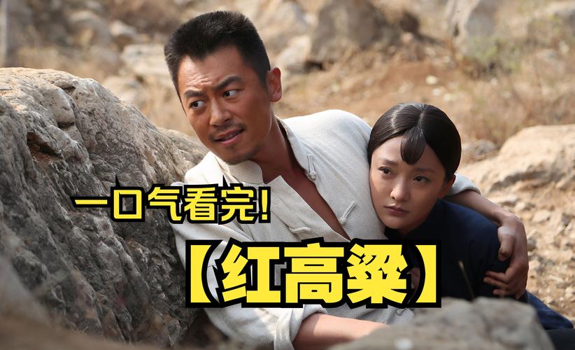 电视剧高粱红了剧情解析:深度剖析人物命运与时代悲歌 电视剧高粱红了剧情解析:深度剖析人物命运与时代悲歌