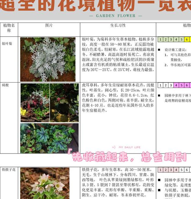 闲花野草逢春处:庭院野生花草搭配与园林景观设计指南 闲花野草逢春处:庭院野生花草搭配与园林景观设计指南