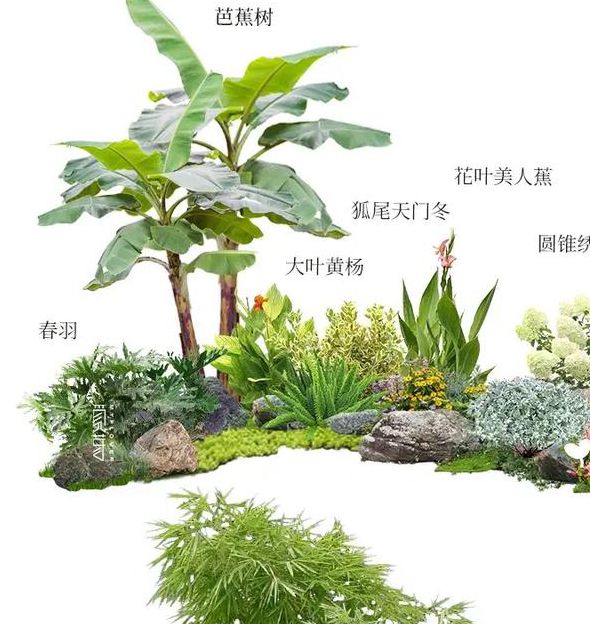 闲花野草逢春处:庭院野生花草搭配与园林景观设计指南 闲花野草逢春处:庭院野生花草搭配与园林景观设计指南