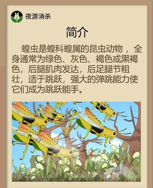 鸭子吃蝗虫的科学原理及生态防治技术解析:生物治蝗优势与实用案例分享 鸭子吃蝗虫的科学原理及生态防治技术解析:生物治蝗优势与实用案例分享