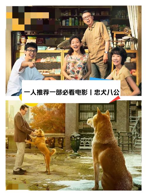 忠犬八公国语版深度解析:真实故事背后的跨国情缘与观影指南 忠犬八公国语版深度解析:真实故事背后的跨国情缘与观影指南