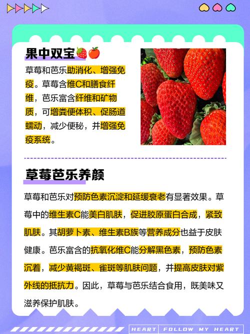 草莓芭乐樱桃丝瓜绿巨人苹果版免费,能够观看热门影视作品