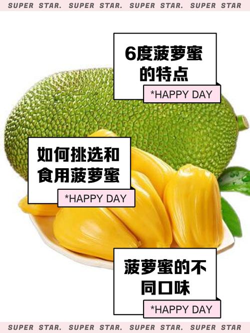 菠萝蜜视频国际加速线路V4.6.6_菠萝蜜视频国际加速线路