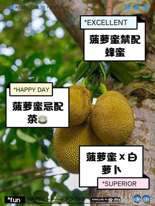 猫咪菠萝蜜草莓视频绿巨人V1.5.9_据说可以畅所欲言?网友:没有什么限制!猫咪菠萝蜜草莓视频绿巨人 猫咪菠萝蜜草莓视频绿巨人V1.5.9_据说可以畅所欲言?网友:没有什么限制!猫咪菠萝蜜草莓视频绿巨人