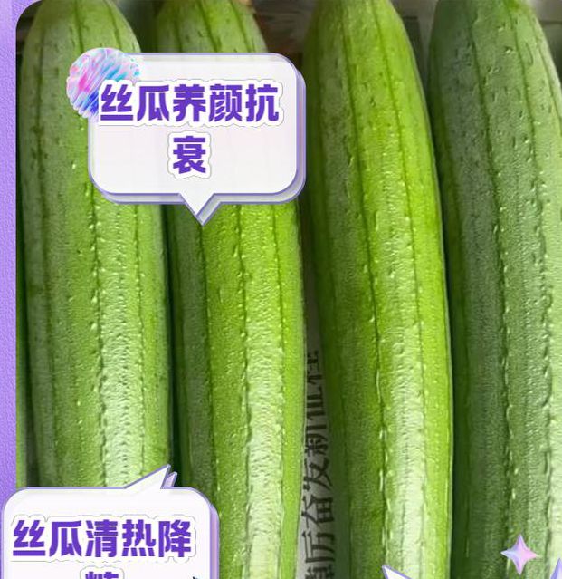 丝瓜黄瓜富二代绿巨人免费版V8.2.6_,知道中老年人喜欢什么丝瓜黄瓜富二代绿巨人免费版 丝瓜黄瓜富二代绿巨人免费版V8.2.6_,知道中老年人喜欢什么丝瓜黄瓜富二代绿巨人免费版