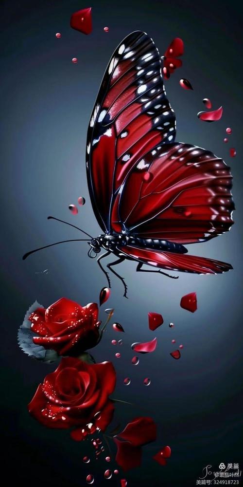 花蝴蝶手机污污版,以用户需求为第一的影视看片软件