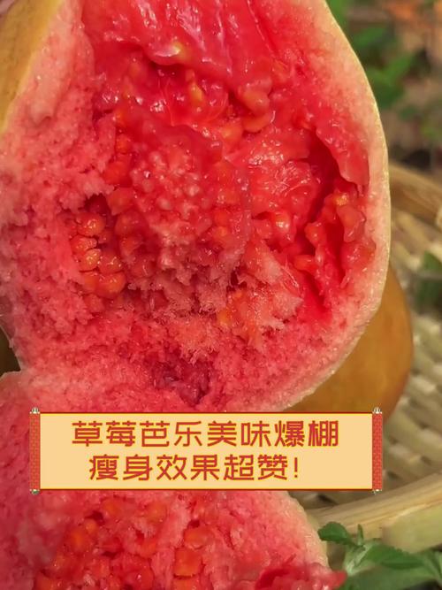 草莓丝瓜芭乐樱桃榴莲大全免费版V5.4.9_草莓丝瓜芭乐樱桃榴莲大全免费版 草莓丝瓜芭乐樱桃榴莲大全免费版V5.4.9_草莓丝瓜芭乐樱桃榴莲大全免费版