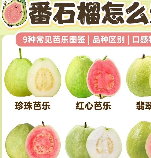 草莓丝瓜芭乐樱桃榴莲大全免费版V5.4.9_草莓丝瓜芭乐樱桃榴莲大全免费版 草莓丝瓜芭乐樱桃榴莲大全免费版V5.4.9_草莓丝瓜芭乐樱桃榴莲大全免费版