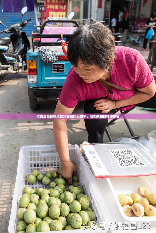 绿巨人黄瓜丝瓜草莓蛹蚁秋葵解锁版V6.9.7_绿巨人黄瓜丝瓜草莓蛹蚁秋葵解锁版