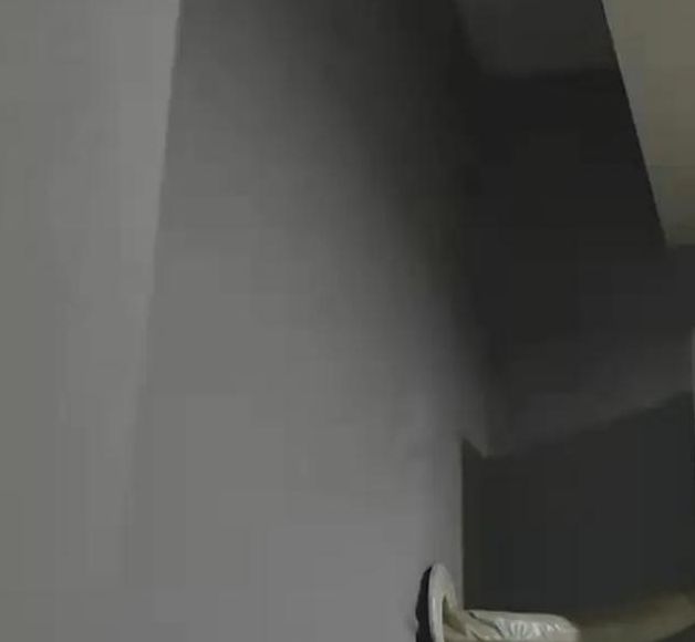 草莓丝瓜幸福宝榴莲小猪视频V9.5.8_无限次数观看，网友：随时观看草莓丝瓜幸福宝榴莲小猪视频