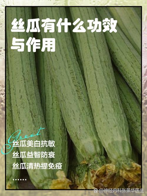 小猪草莓丝瓜深夜释放自己未满,火爆全球的短视频平台。