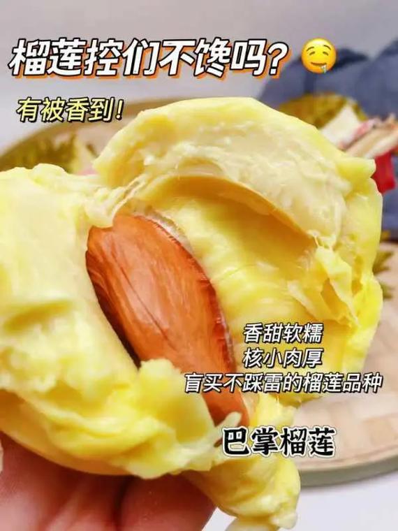 ll999榴莲aplaceholder官方版免费V8.6.5_ll999榴莲aplaceholder官方版免费 ll999榴莲aplaceholder官方版免费V8.6.5_ll999榴莲aplaceholder官方版免费