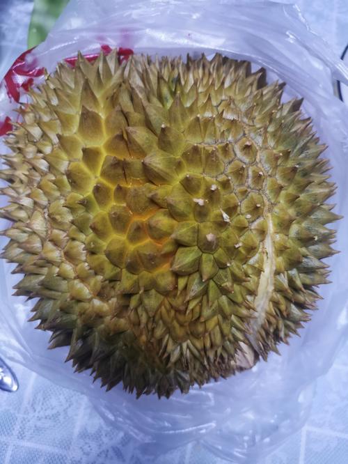 ll999榴莲aplaceholder官方版免费V8.6.5_ll999榴莲aplaceholder官方版免费