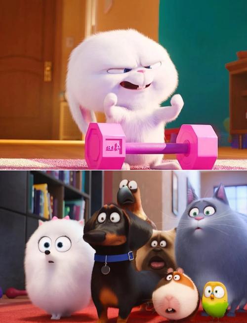 兔子影视V2.1.5_兔子影视