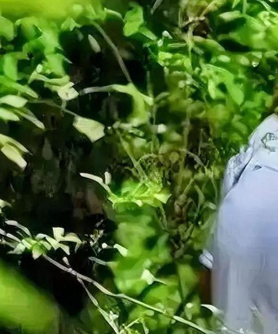 大尺度视频男女野外V7.4.4_大尺度视频男女野外