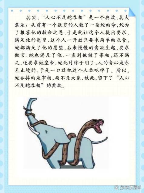 贪心不足蛇吞象新添多个栏目，网友：选择更多了