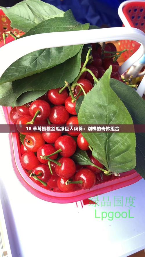 秋葵草莓茄子香蕉绿巨人更改了入口,平台回应:旧入口失效 秋葵草莓茄子香蕉绿巨人更改了入口,平台回应:旧入口失效