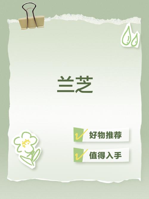 仙芝兰交友appV1.9.7_仙芝兰交友app 仙芝兰交友appV1.9.7_仙芝兰交友app