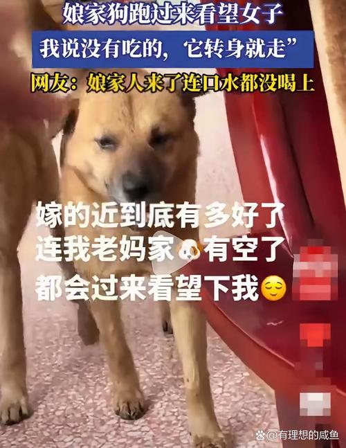 和狗做被婆婆看到拉婆婆下水V9.9.4_和狗做被婆婆看到拉婆婆下水 和狗做被婆婆看到拉婆婆下水V9.9.4_和狗做被婆婆看到拉婆婆下水