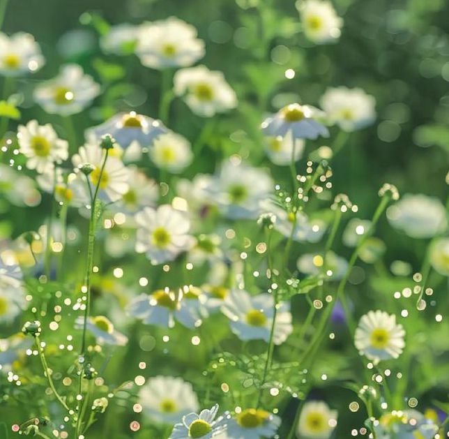 野花2019社区高清视频免费V9.6.9_野花2019社区高清视频免费 野花2019社区高清视频免费V9.6.9_野花2019社区高清视频免费