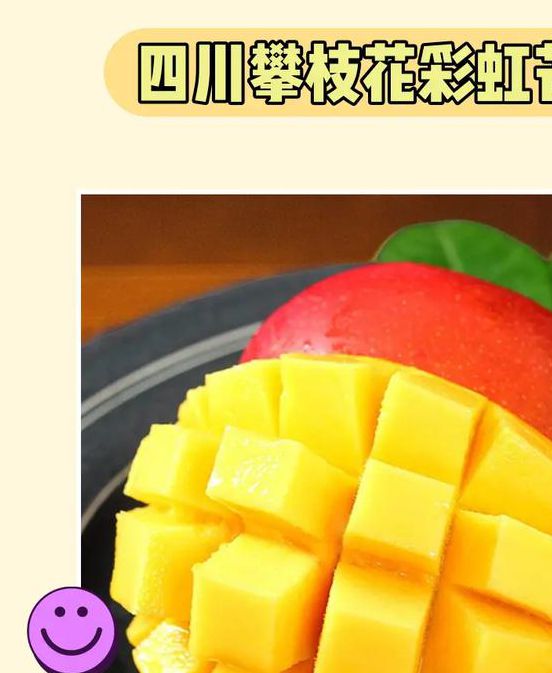 一二三四区别芒果乱码V6.3.1_一二三四区别芒果乱码
