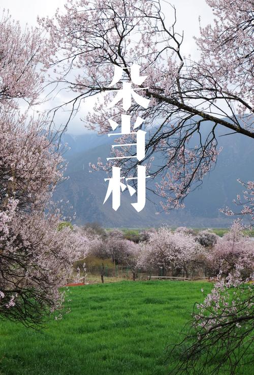 桃花社区高清视频在线观看V9.8.1_桃花社区高清视频在线观看