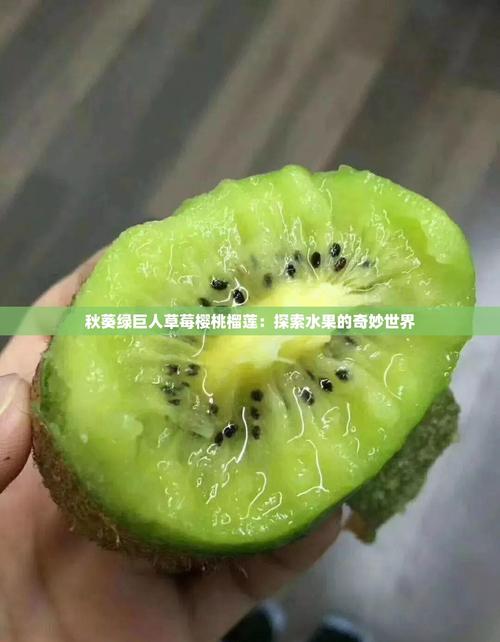 香蕉榴莲秋葵绿巨人草莓樱花V4.6.5_bug是否修复？平台：已修复完成！香蕉榴莲秋葵绿巨人草莓樱花