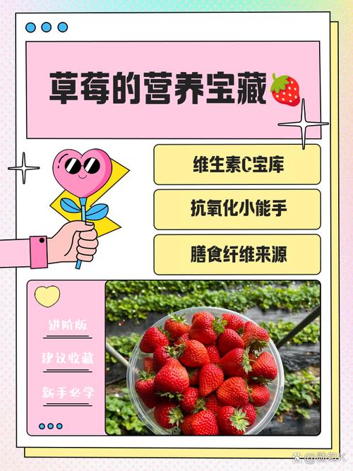 草莓榴莲向日葵幸福宝18岁V3.1.7_草莓榴莲向日葵幸福宝18岁 草莓榴莲向日葵幸福宝18岁V3.1.7_草莓榴莲向日葵幸福宝18岁