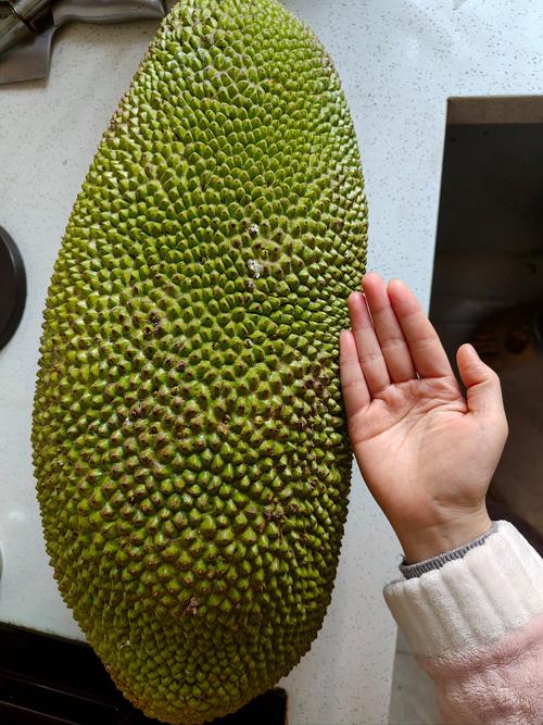 菠萝菠萝蜜视频观看免费播放入口V3.2.8_菠萝菠萝蜜视频观看免费播放入口