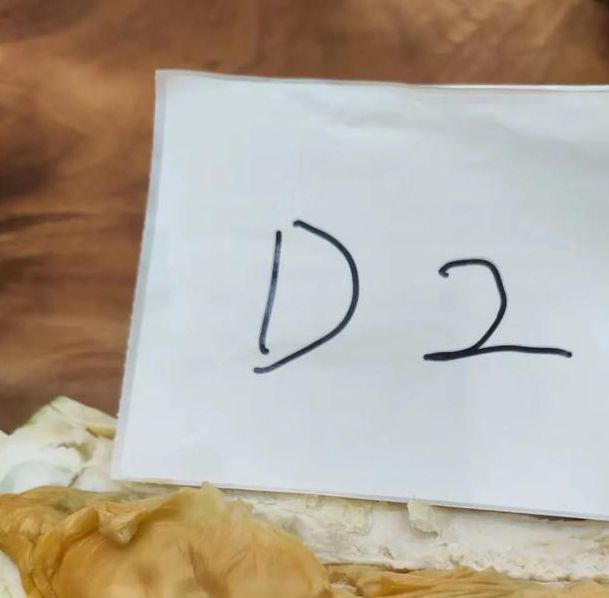 榴莲视频第二代V3.1.8_画质提升至超清,网友:贼拉清晰榴莲视频第二代 榴莲视频第二代V3.1.8_画质提升至超清,网友:贼拉清晰榴莲视频第二代