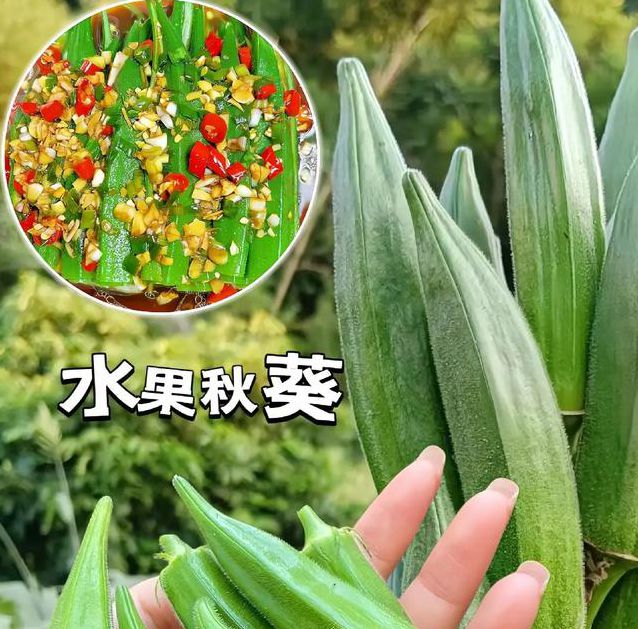 芭乐汅api免费秋葵视频已证实免费,网友:赶紧下载 芭乐汅api免费秋葵视频已证实免费,网友:赶紧下载