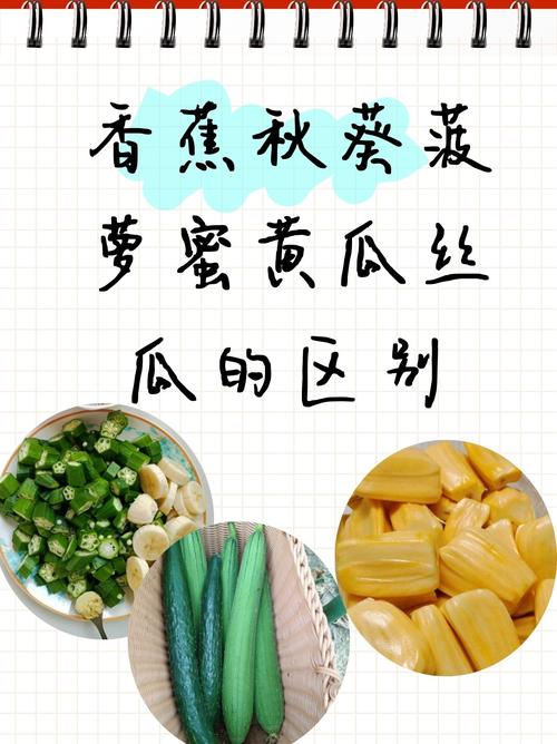 草莓秋葵菠萝蜜黄瓜丝瓜苹果iosV4.9.1_草莓秋葵菠萝蜜黄瓜丝瓜苹果ios