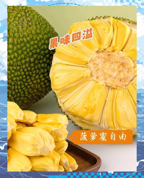 菠萝蜜最新地址V3.9.3_菠萝蜜最新地址 菠萝蜜最新地址V3.9.3_菠萝蜜最新地址