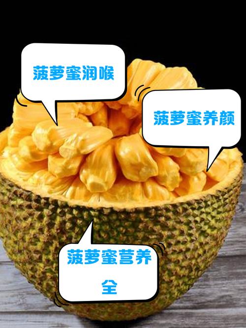 菠萝蜜最新地址V3.9.3_菠萝蜜最新地址 菠萝蜜最新地址V3.9.3_菠萝蜜最新地址