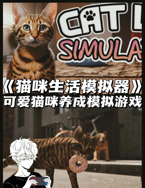 2021猫咪视频最新地域将有重大更新？网友：等不及了！