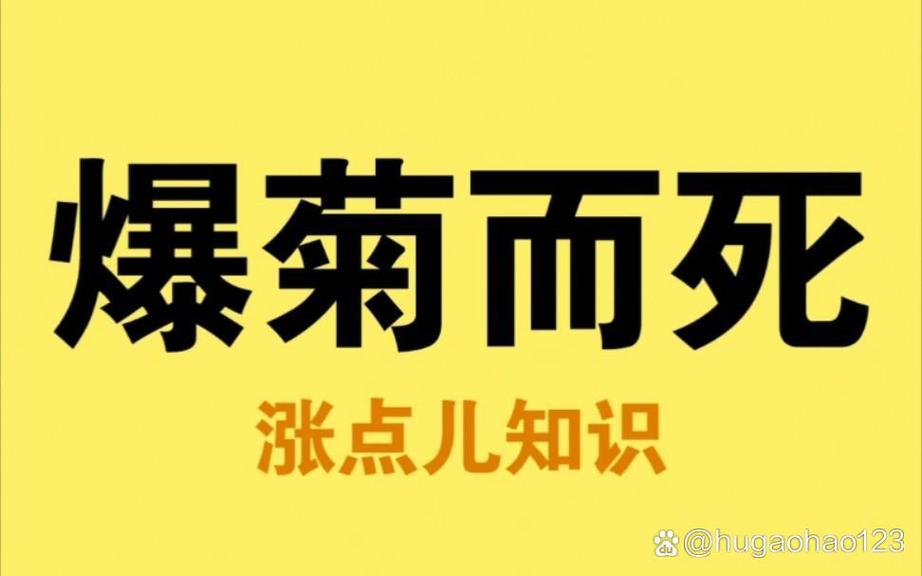 爆菊什么意思软件V5.4.1_爆菊什么意思APP