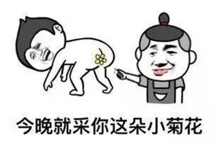 爆菊什么意思软件V5.4.1_爆菊什么意思APP