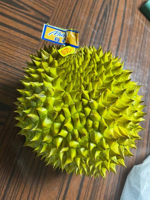 榴莲视频大全观看资源不断，网友：一直在更新