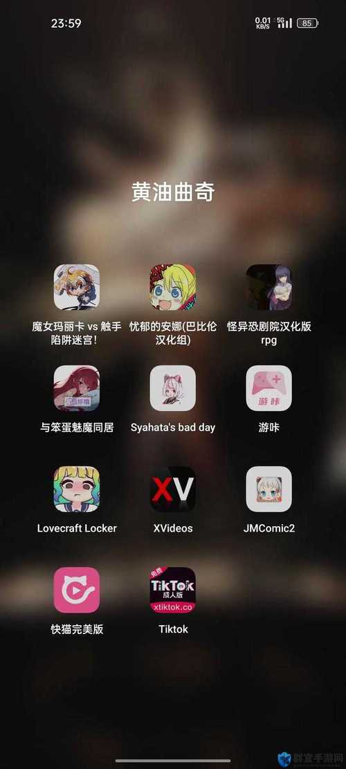 夜里30款禁用软件应用V8.5.2_夜里30款禁用软件安装下载