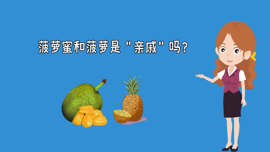 菠萝蜜菠萝蜜免费观看视频,全网精彩的影视都能在这里看到 菠萝蜜菠萝蜜免费观看视频,全网精彩的影视都能在这里看到
