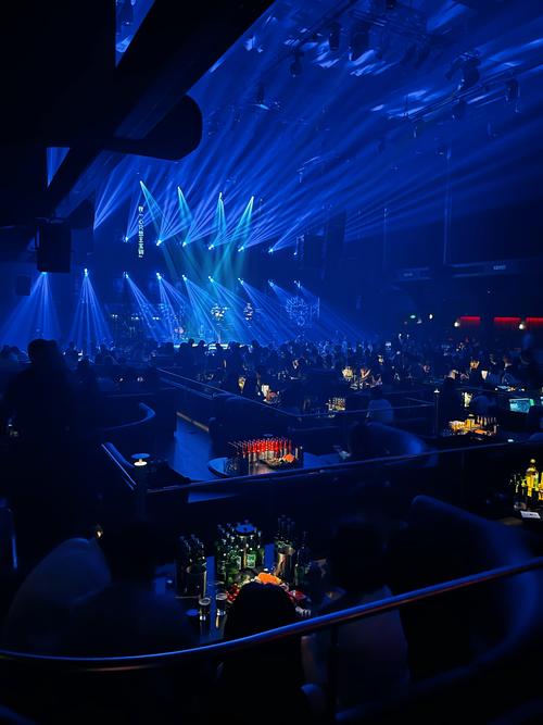 酒吧视频高清无水印每日都在更新，网友：良心平台！