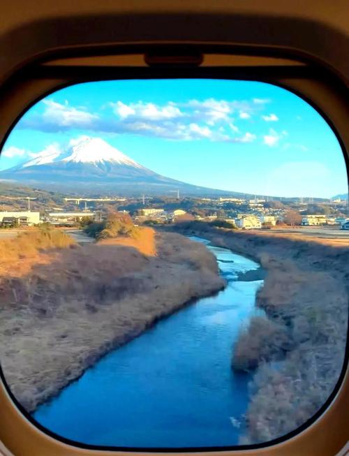 新干线live直播下载免费版上线，网友：终于开放了