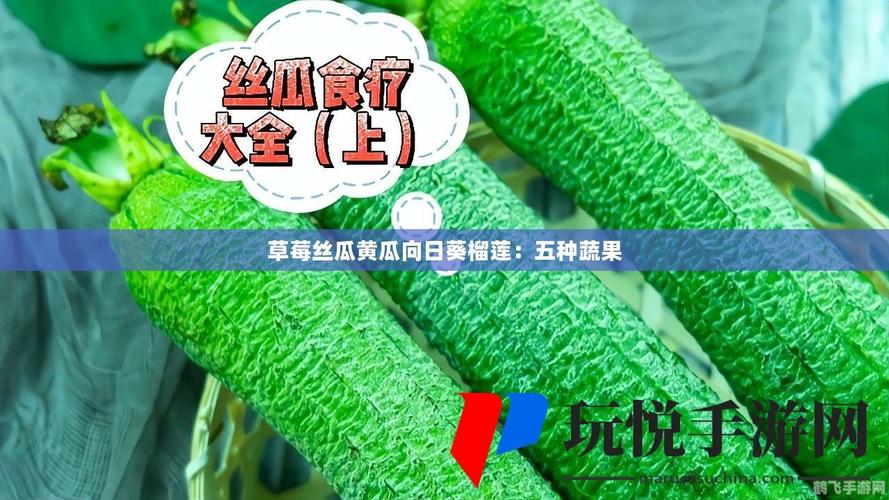 草莓丝瓜榴莲秋葵污污无限看最新版,每个人都是生活的明星
