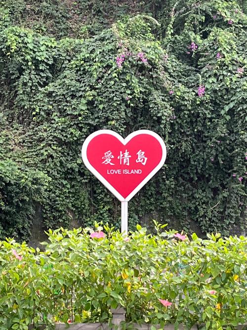爱情岛已正常开启，网友：这就来体验！