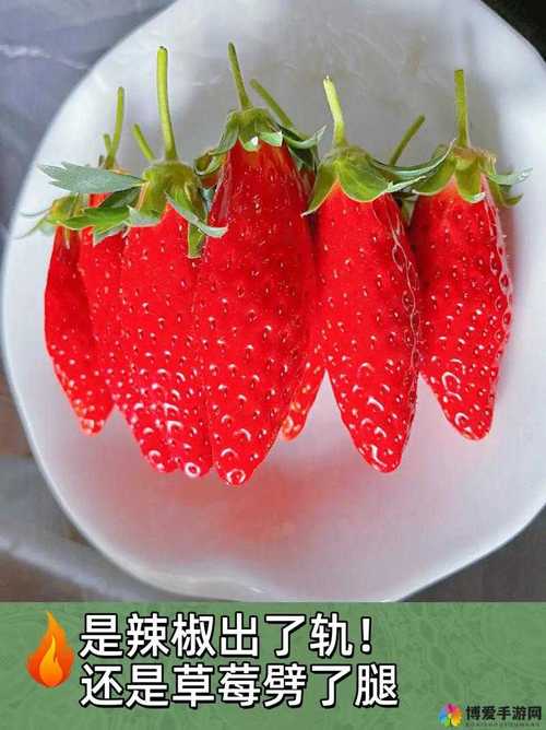 草莓香蕉樱桃黄瓜丝瓜榴莲绿巨人安卓版画面无遮挡，用户：实在是过瘾！