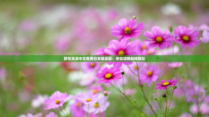 野花视频在线观看免费版限制进入,网友:不存在 野花视频在线观看免费版限制进入,网友:不存在