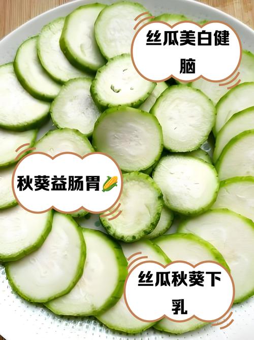 丝瓜 秋葵 绿巨人手机版V2.2.5_丝瓜 秋葵 绿巨人软件下载