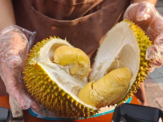 24小时榴莲视频最新版V1.7.9_24小时榴莲视频软件